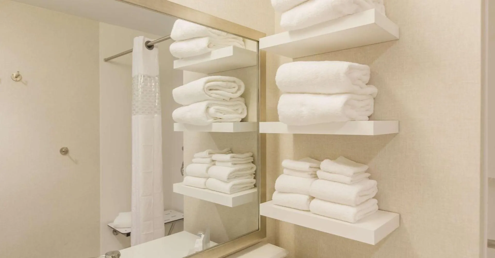 Hotel Hampton Inn & Suites Charlotte/Ballantyne, Nc