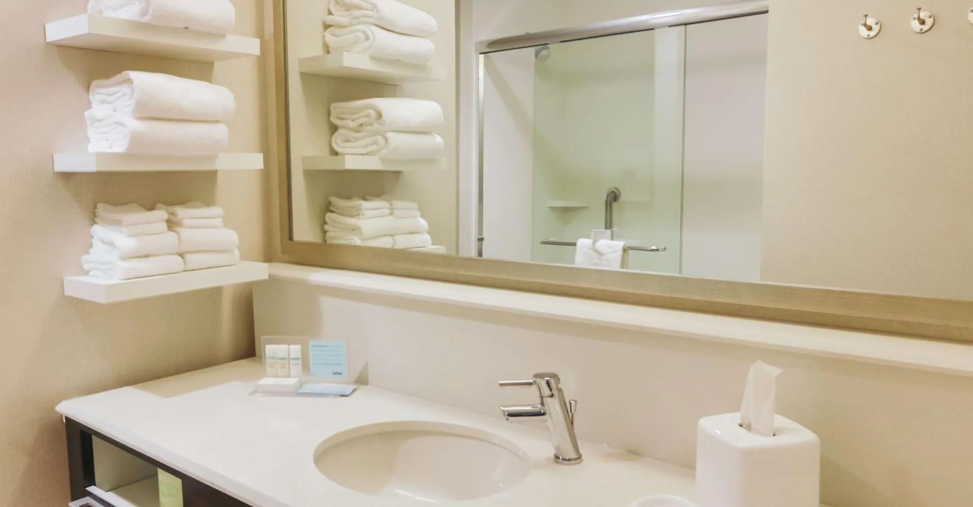 Hotel Hampton Inn & Suites Charlotte/Ballantyne, Nc