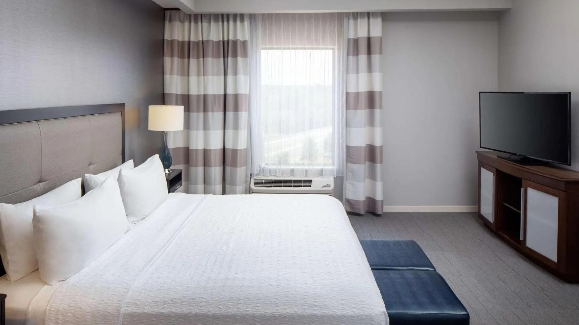Hampton Inn & Suites Charlotte/Ballantyne, Nc Charlotte