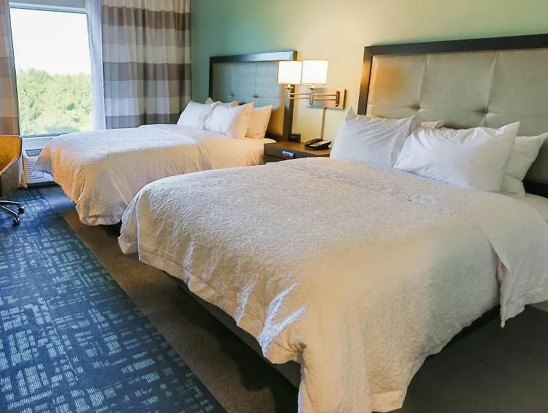 Hotel Hampton Inn & Suites Charlotte/Ballantyne, Nc